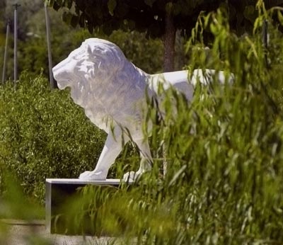 Le lion